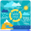 How the Distillation Process Works (Video) The water cycle