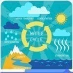 The water cycle