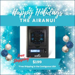 2024 AiraNui Indoor Air Purifier with Ozone