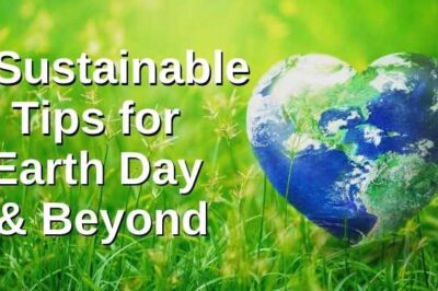 3 Sustainable Tips for Earth Day and Beyond