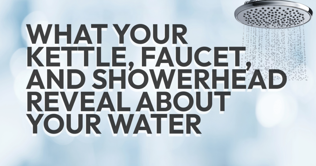 What Your Kettle, Faucet, and Showerhead Reveal About Your Water - My ...