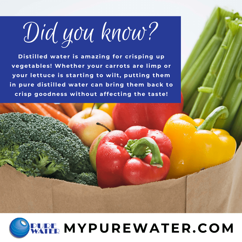 Did you know that distilled water can help keep your vegetables crisp and tasting great?