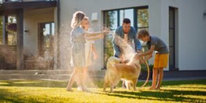 Complete Water Distillation Systems for Your Home