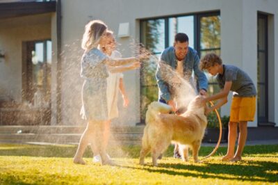 Complete Water Distillation Systems for Your Home