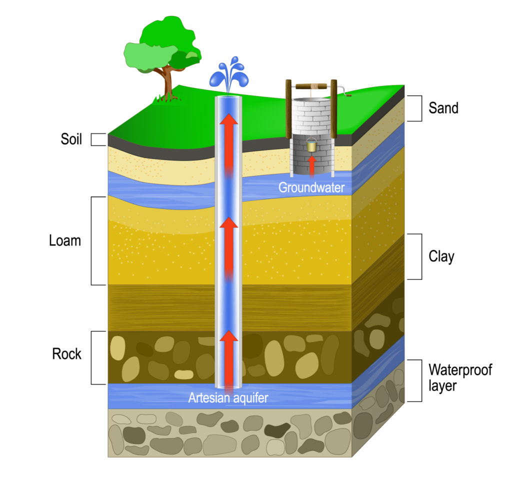 Illustration of how spring water and purified water are sourced and processed.