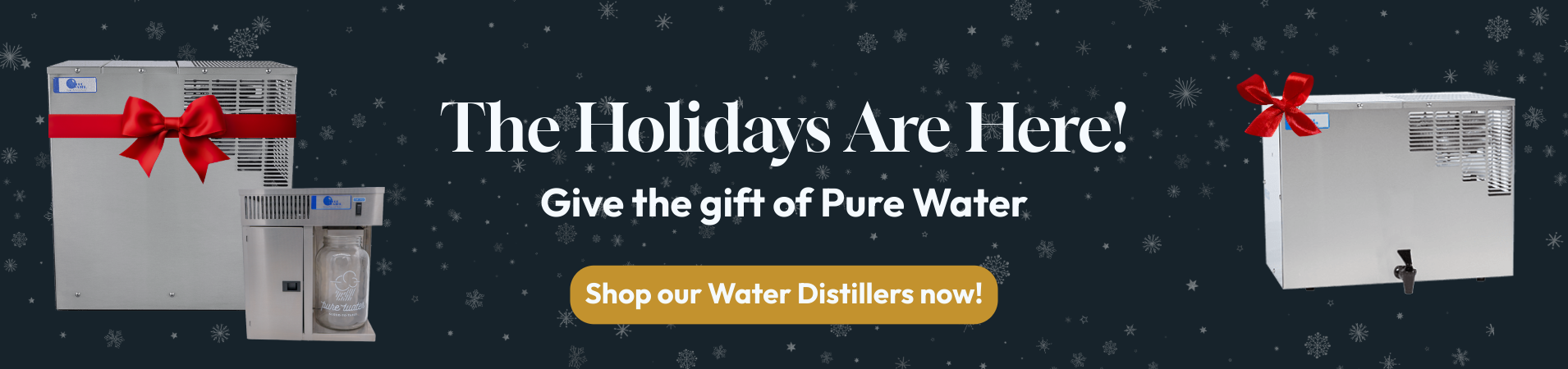 Website Banner-1 (11)