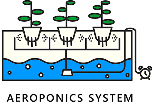 Aquaponic farming wiki 