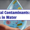 water education bacteria in water