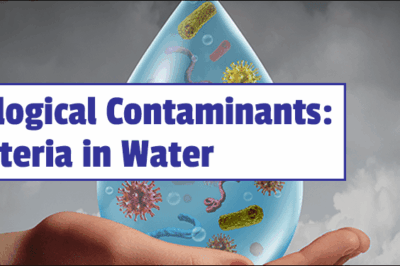 water education bacteria in water