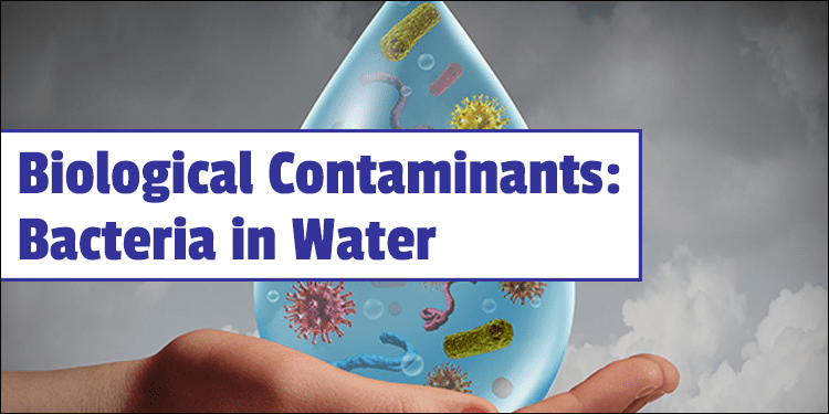 water education bacteria in water
