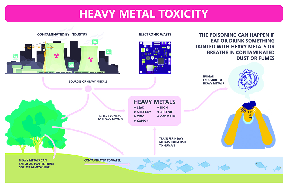 heavy metal toxicity