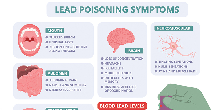 symptoms of lead poisoning