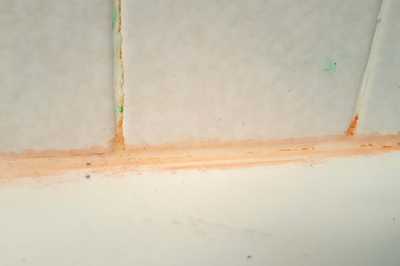 pink mold bathroom