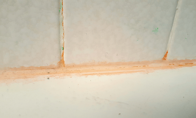 pink mold bathroom