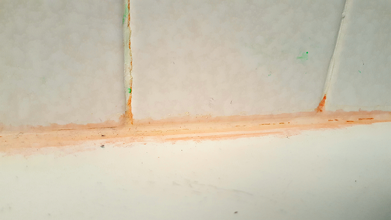 pink mold bathroom