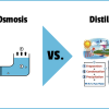 reverse osmosis versus distillation