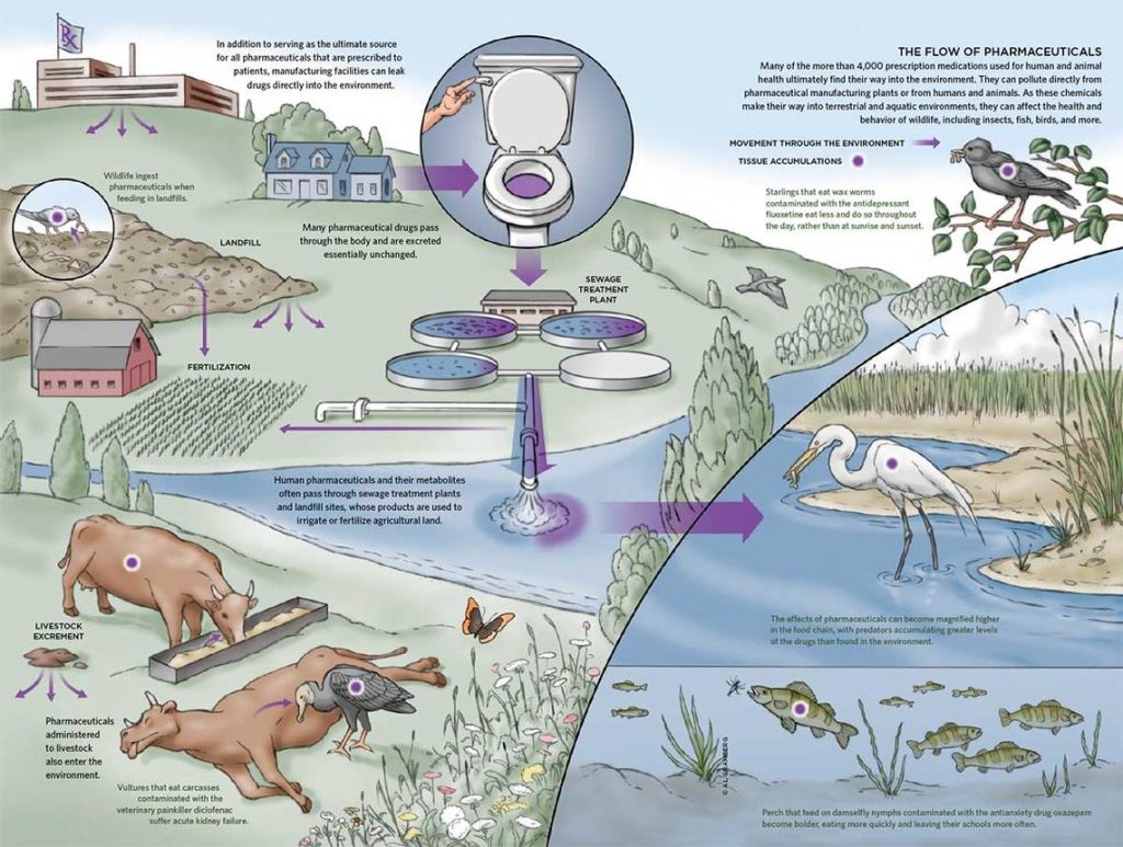 pharmaceuticals in drinking water